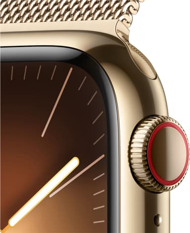 Apple Watch S9 45mm GPS+CEL (Gold Stainless/Gold Milanese Loop)