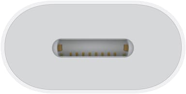 Apple USB-C til Lightning adapter