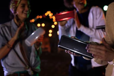 Sony bærbar trådløs høyttaler SRS-XB21 (sort)
