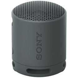 Sony SRS-XB100 bærbar trådløs høyttaler (sort)