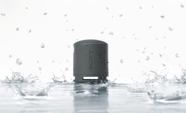 Sony SRS-XB100 bærbar trådløs høyttaler (sort)