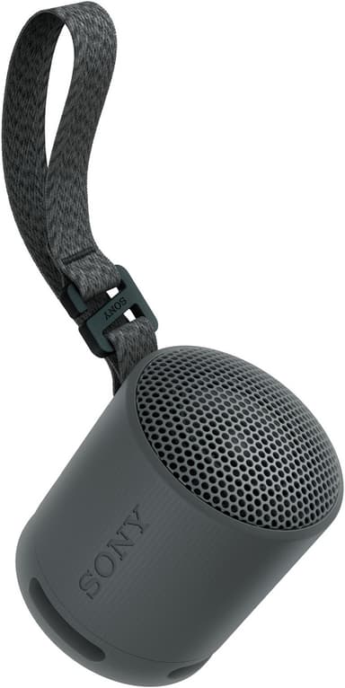Sony SRS-XB100 bærbar trådløs høyttaler (sort)