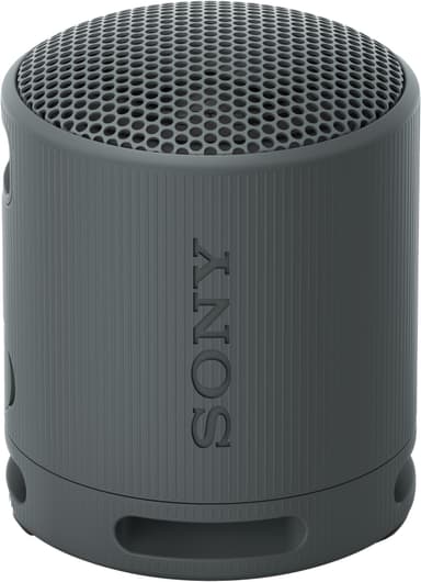 Sony SRS-XB100 bærbar trådløs høyttaler (sort)