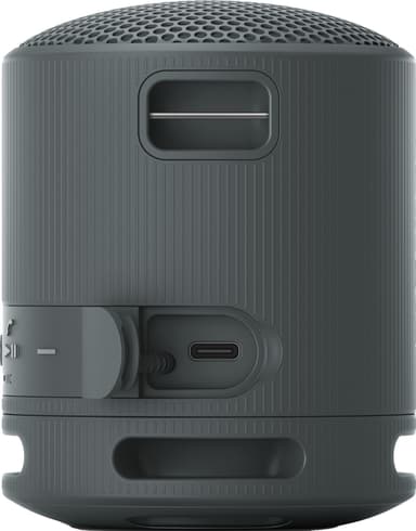 Sony SRS-XB100 bærbar trådløs høyttaler (sort)