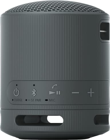 Sony SRS-XB100 bærbar trådløs høyttaler (sort)
