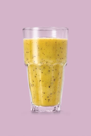 F&B Power blender (steel)