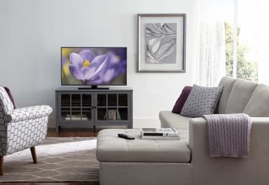 Sanus swivel TV-stativ VTVS1