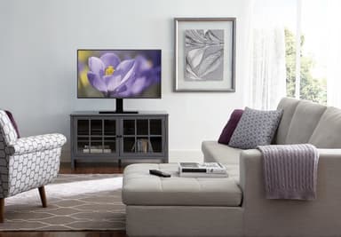 Sanus swivel TV-stativ VTVS1