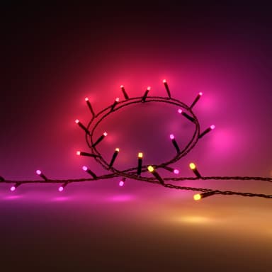 Philips Hue Festavia utendørs lyslenke 14W 20m