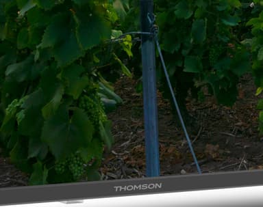 Thomson 50" QA2S13 4K QLED smart TV (2023)