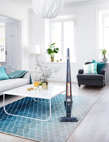 Electrolux UltraPower trådløs støvsuger ZB5022