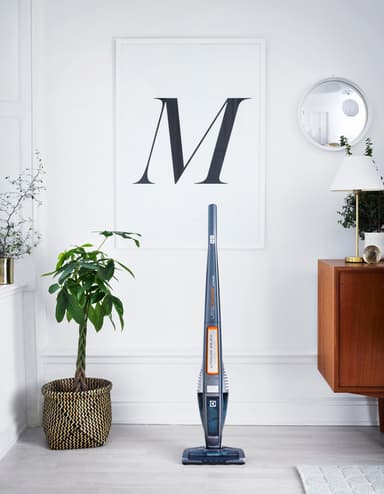 Electrolux UltraPower trådløs støvsuger ZB5022