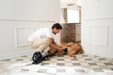 Nilfisk S1 Pet Care trådløs håndholdt støvsuger 128390168 (sort)