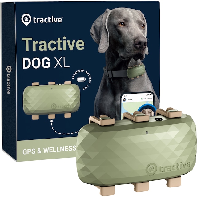 Tractive DOG XL GPS tracker hund (grønn)
