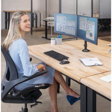 Fellowes Reflex dobbel skjermholder (sort)