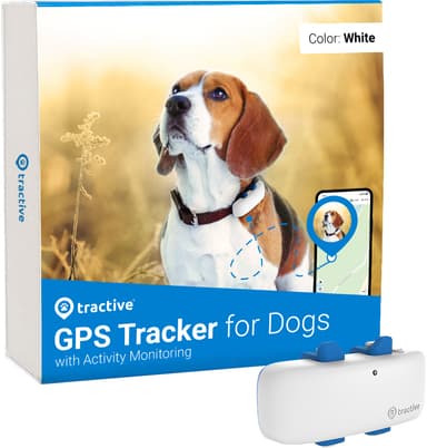 Bilde av Tractive GPS Tracker til Hund