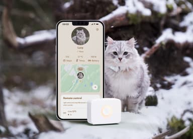 Lilcat GPS-sporingsbrikke for katter