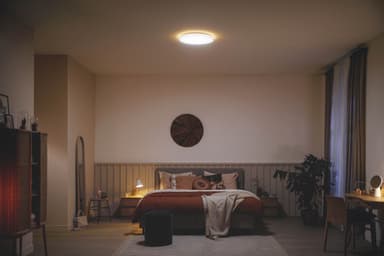 Philips Ozziet taklampe 22W (hvit)