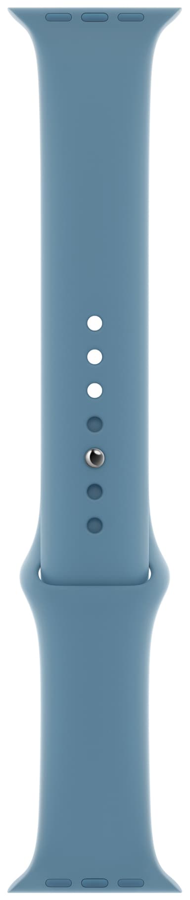 Apple 44mm Sport reim (vinterblå)