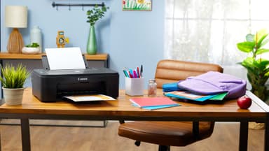 Canon Pixma TS3350 fargeblekkskriver (sort)