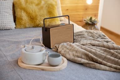 Pure Evoke Play Wood Edition digitalradio (sort)