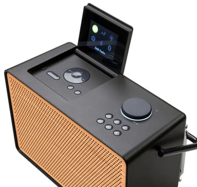 Pure Evoke Play Wood Edition digitalradio (sort)