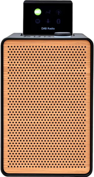 Pure Evoke Spot Wood Edition digitalradio (sort)