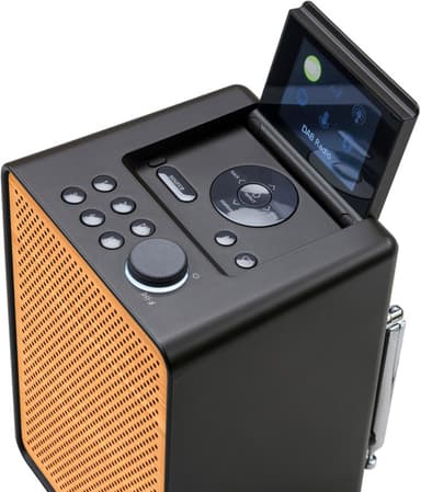 Pure Evoke Spot Wood Edition digitalradio (sort)