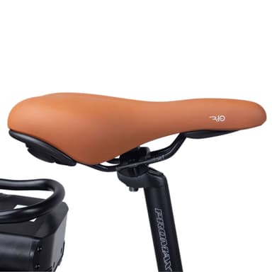 Swoop Elektrisk Sykkel City, kvinner 28""