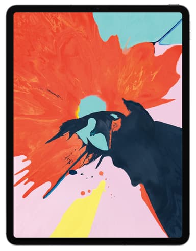 iPad Pro 12,9" 2018 256 GB WiFi (stellargrå)