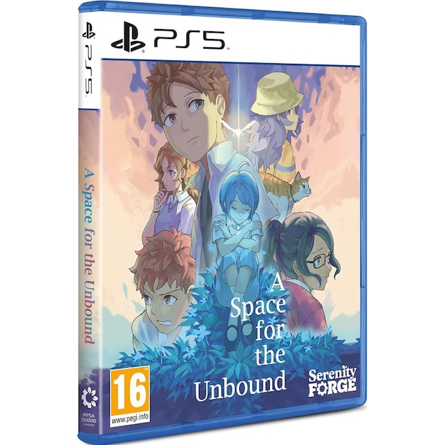 A Space for the Unbound (PS5)