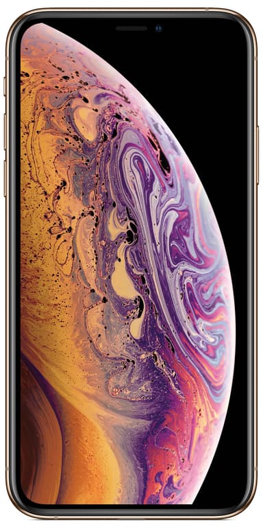iPhone Xs 64 GB (gull)