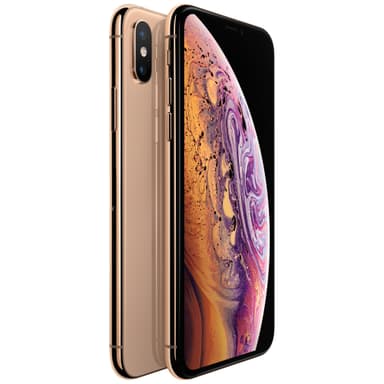 iPhone Xs 64 GB (gull)