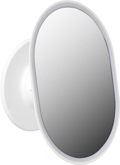 Sharper Image dusjspeil P001308