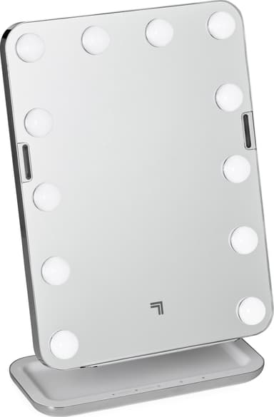 Sharper Image speil P001310
