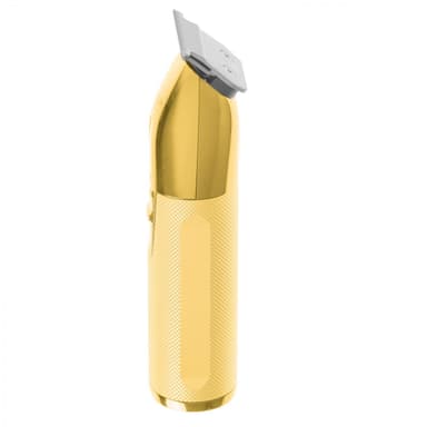 Adler AD 2836g Professionell Trimmer USB, Guld