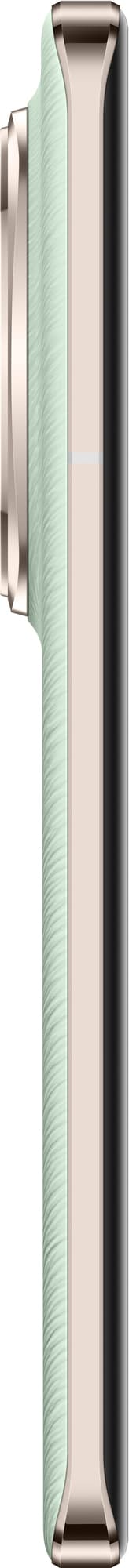 Honor Magic6 Pro 5G smarttelefon 12/512GB (grønn)