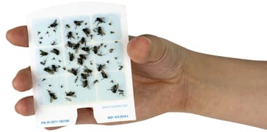 DynaTrap DOT limkort til bananfluefelle 23005-0612C (6-pakning)