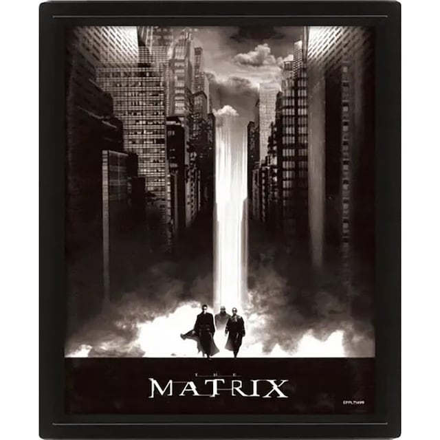 Pan Vision The Matrix 3D-plakat (Lightfall)