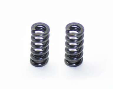 Ser-500159 slipper spring (2) srx2