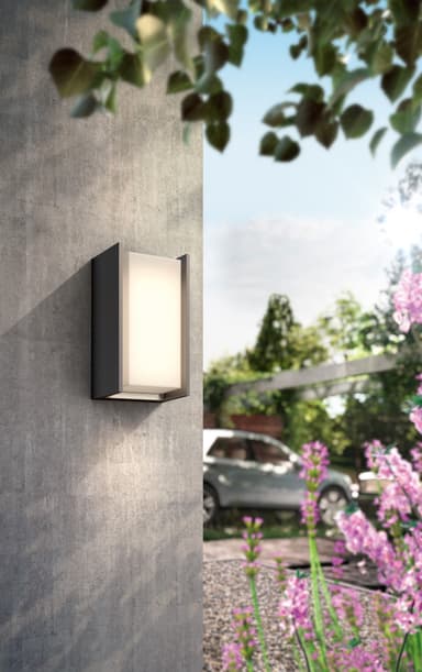 Philips Hue Turaco vegglampe (antrasitt)