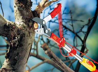 WOLF-Garten Toppsaks RC-M