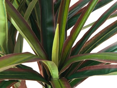 Dracena, artificial plant, 120cm