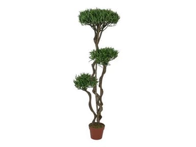 Europalms bonsai tree, multi trunk, 130cm