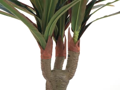 Dracena, artificial plant, 120cm