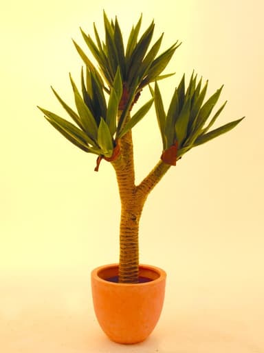 Europalms yucca palmbush, 105cm
