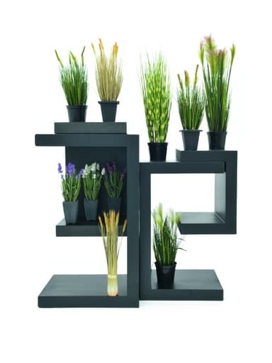 Europalms lavender, creme, in pot, 45cm