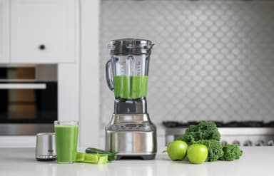 Sage The Super Q blender SBL920BSS