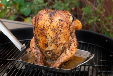 Rustfritt kyllingrooster med avtakbar håndtak