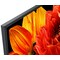 Sony 49" XG83 4K UHD LED Smart TV KD49XG8305